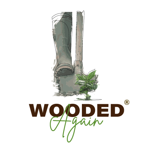 WOODED Again